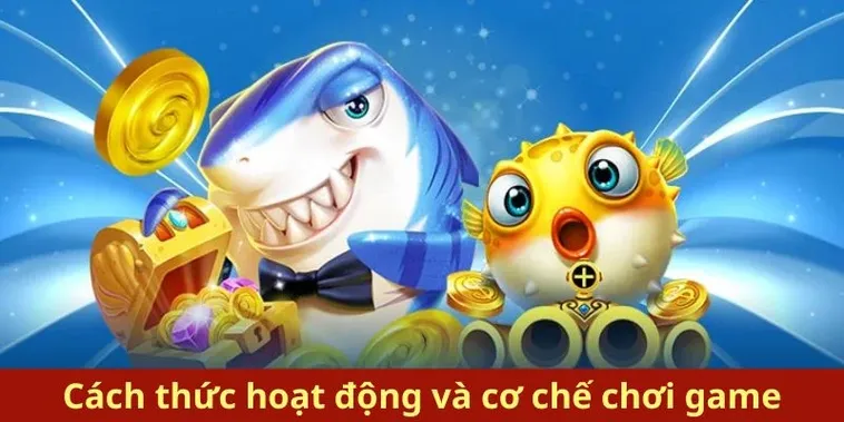 Hướng Dẫn Cách Chơi Bắn Cá Royal Fishing Tại 123B 1 Hướng Dẫn Cách Chơi Bắn Cá Royal Fishing Tại 123B