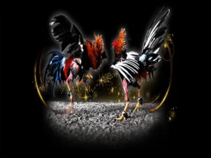 Khám Phá Cách Chơi Đá Gà Sabong Tại 123B Từ Các Chuyên Gia