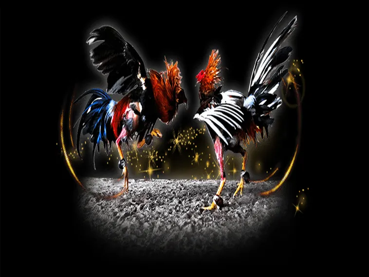 Khám Phá Cách Chơi Đá Gà Sabong Tại 123B Từ Các Chuyên Gia 1 Khám Phá Cách Chơi Đá Gà Sabong Tại 123B Từ Các Chuyên Gia